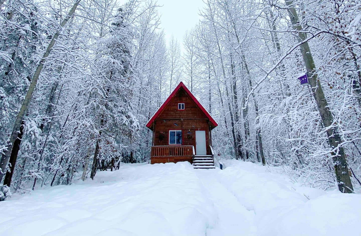 Coho Cabin Rental in Alaska During Winter