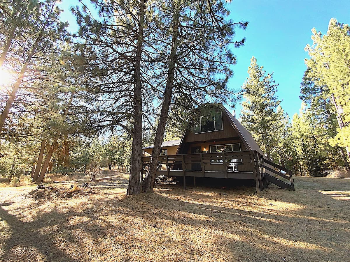 The Ponderosa Secluded Cabin in Idaho