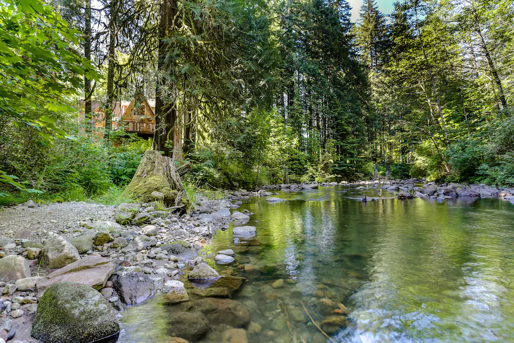 Secluded A-Frame Cabin Rental in Oregon in Forest