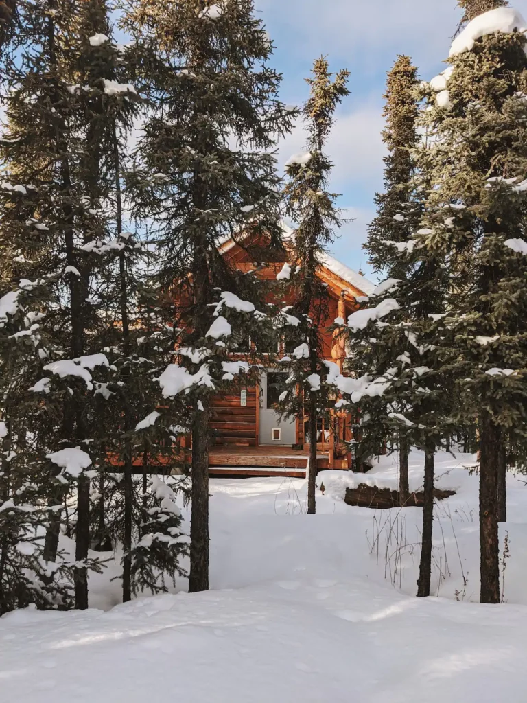 Ranger's Cabin — A Tiny Alaskan Cabin in the Woods