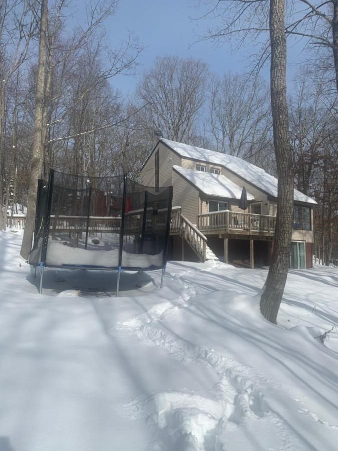 Remote Pennsylvania Cabin