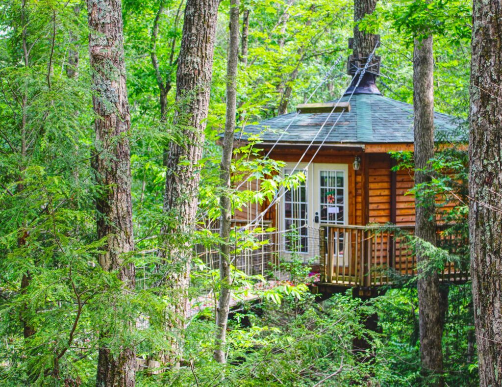 Holly Rock Treehouse West Virginia