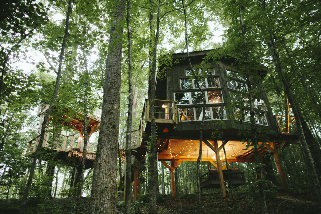 Majestic Treehouse Bolt Farm South Carolina