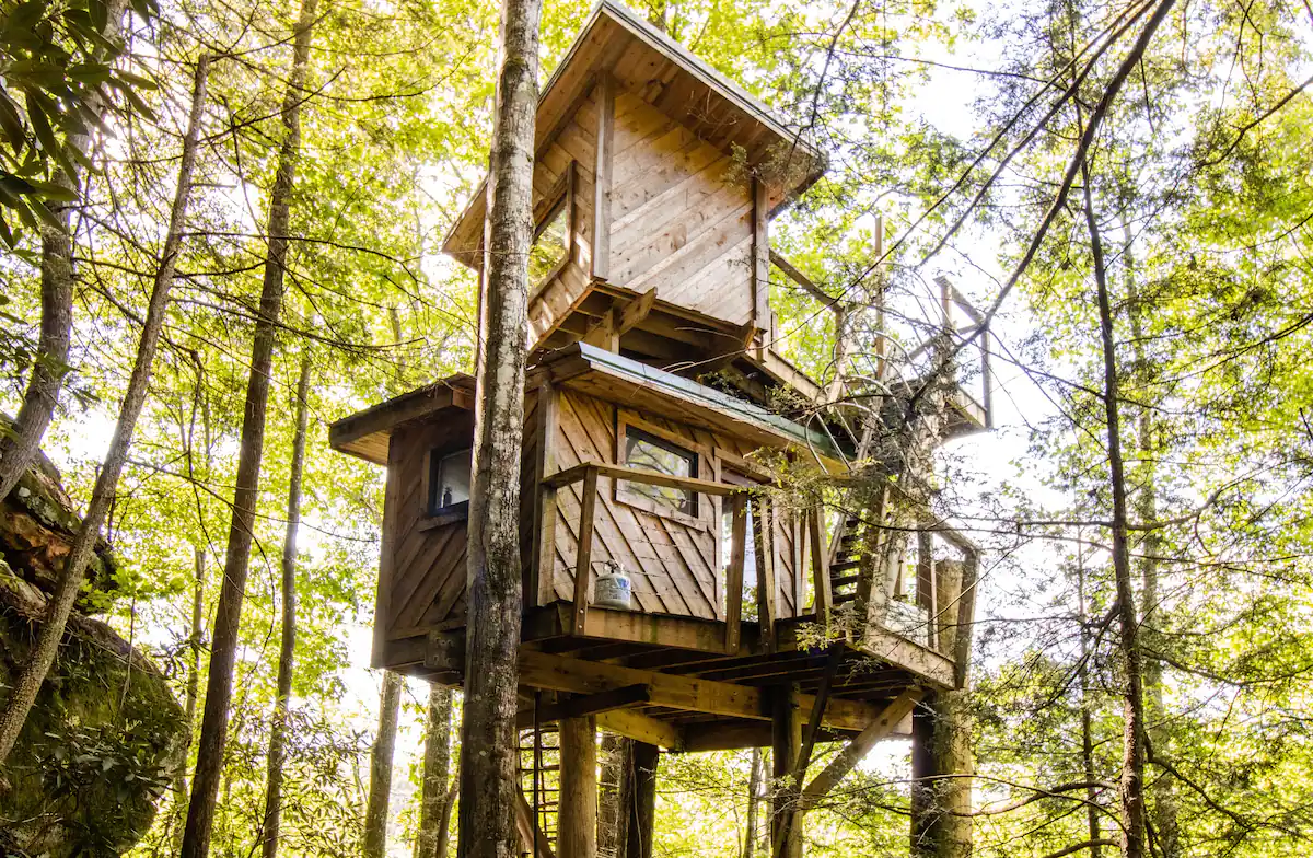 Observatory Tree House Kentucky Airbnb