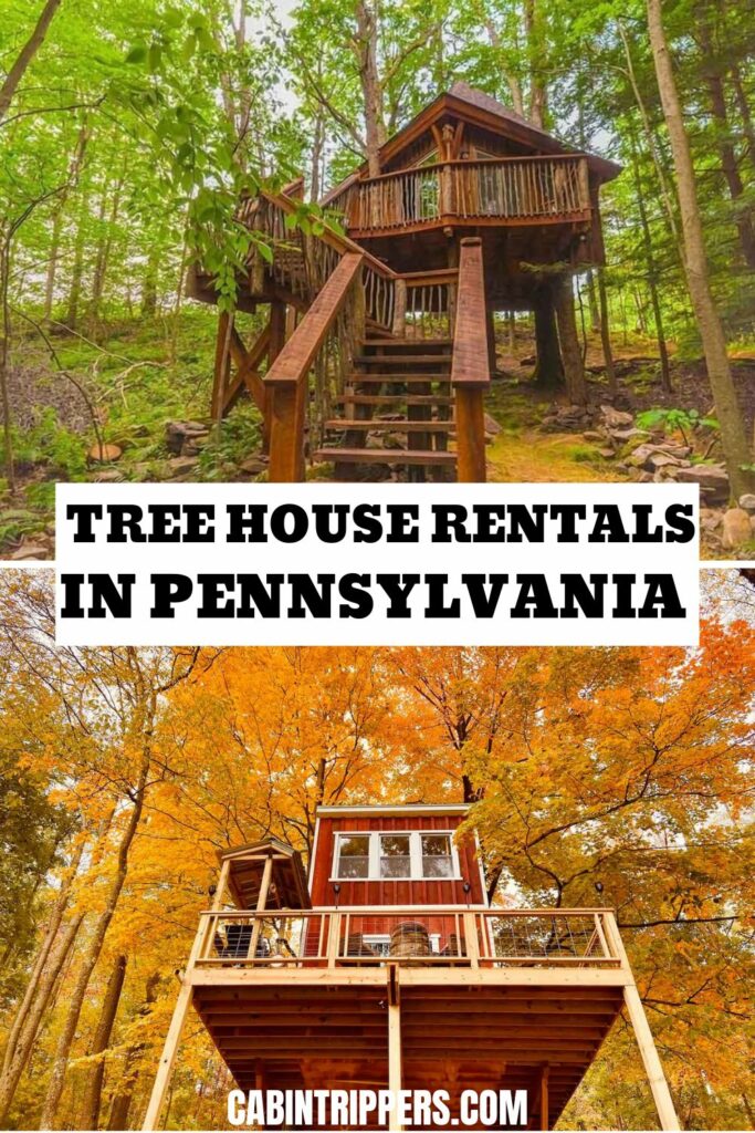 Pennsylvania Treehouse Rentals