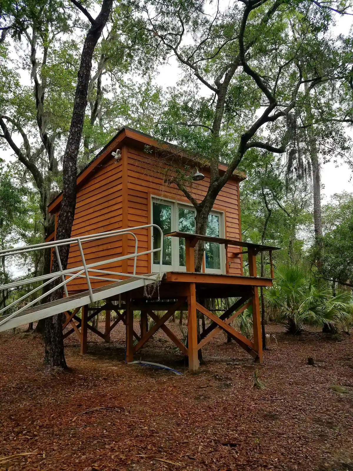 Private Island Treehouse Airbnb South Carolina