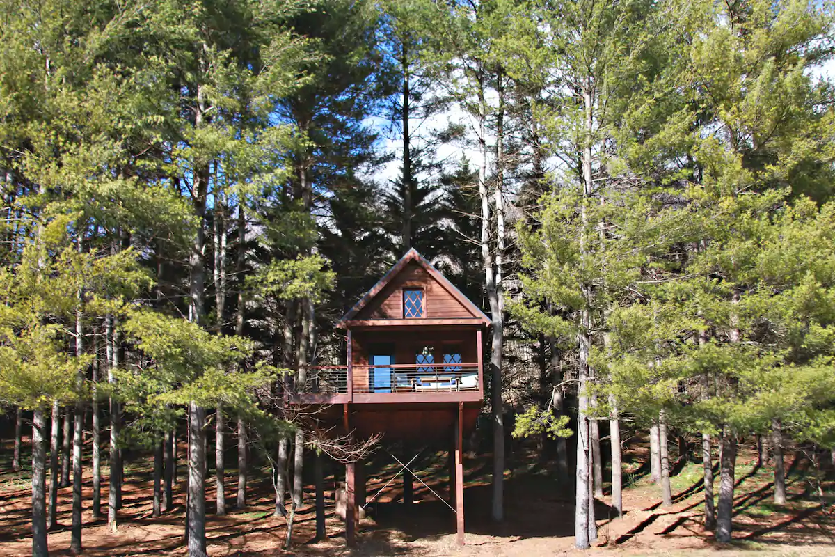 The Joshua Tree House Cabin in Virginia