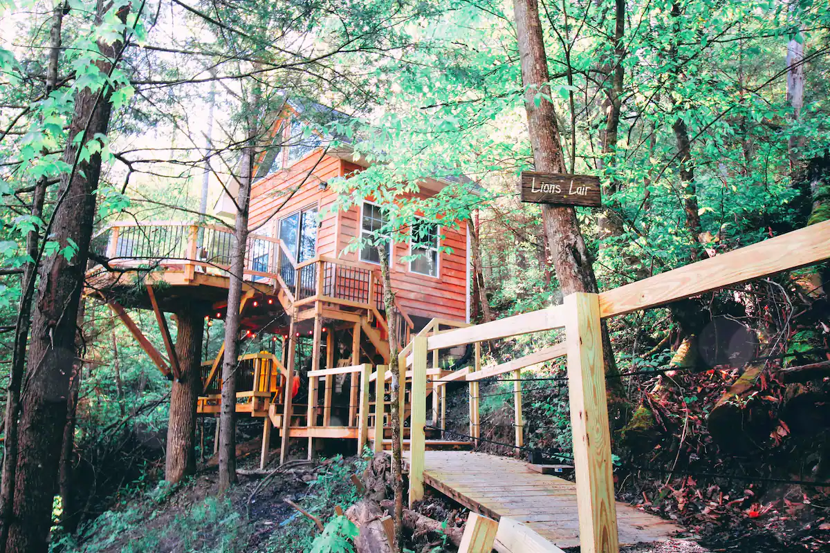 The Lions Lair Tree House Kentucky Airbnb