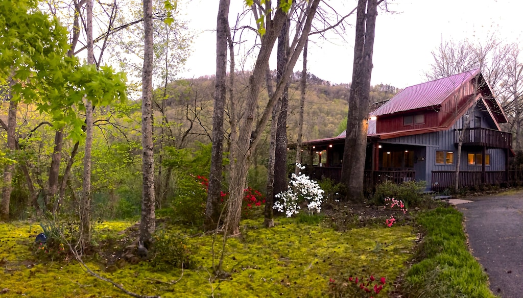 Tree House Cabin on the Little Red River With Hot Tub