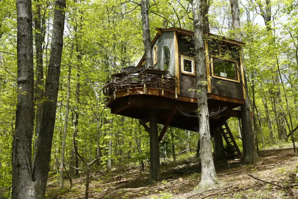 Trillium Treehouse Airbnb Virginia