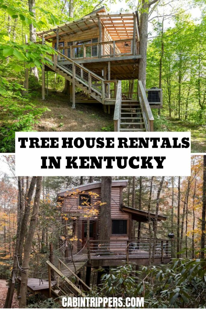 treehouse rentals kentucky
