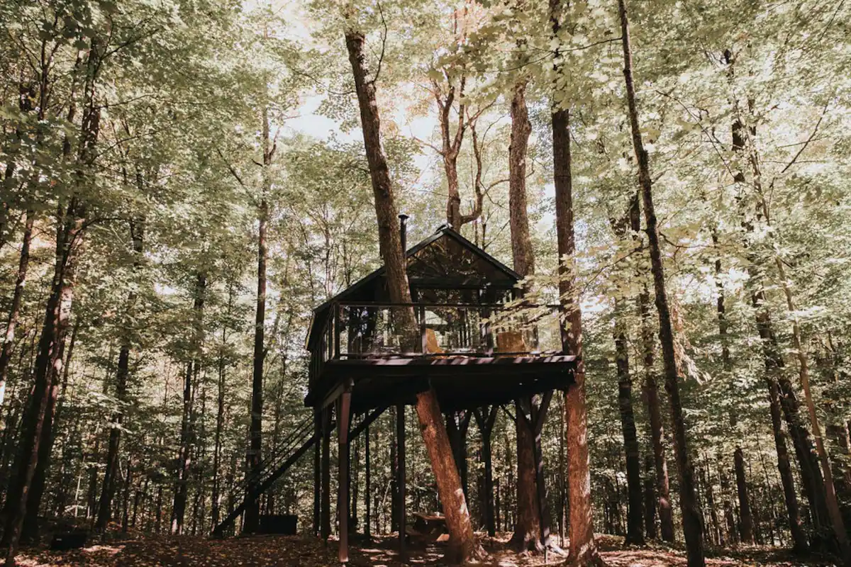 Tree House Safari Airbnb Canada