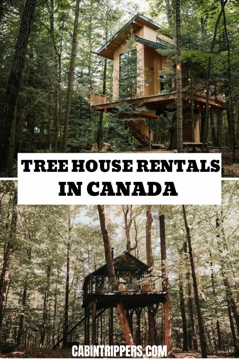 TOP 15 Treehouse Rentals in Canada Cabin Trippers