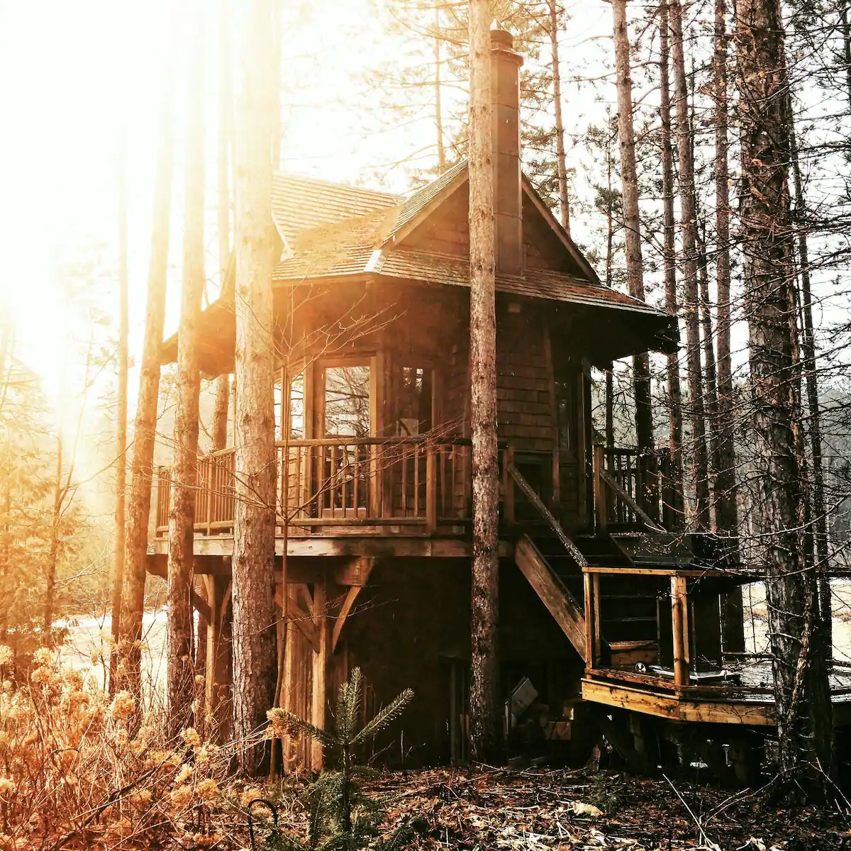 Treehouse On Private - Isolated Forest