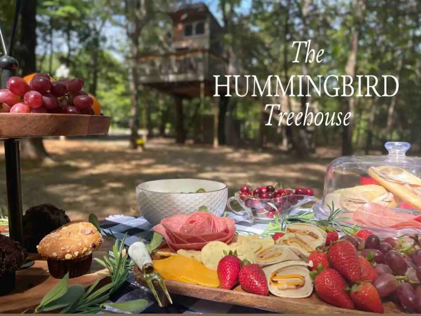 The Hummingbird Treehouse Rental Oklahoma