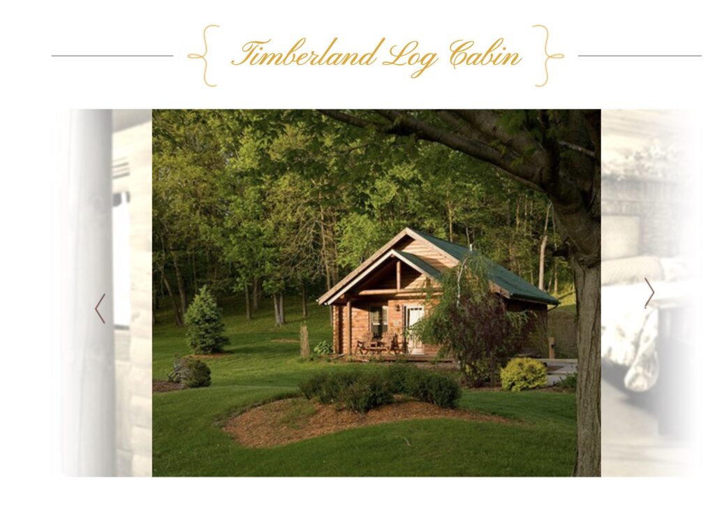 Timberland Log Cabin - Romantic Cabins in Illinois